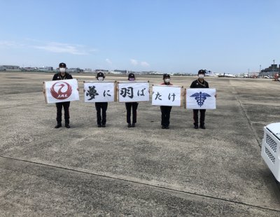 夢飛行・時空間ツアー実施！