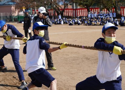 綱の左右に交互に配置
