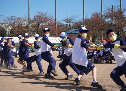 大綱引き