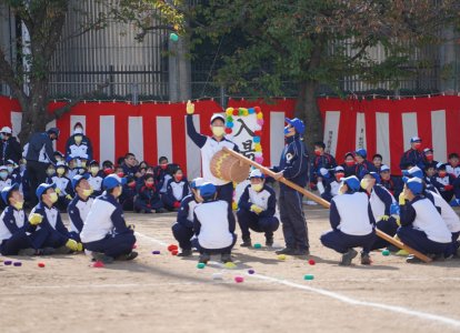 前後左右に距離があるので、たくさんの玉は入りませんでした。