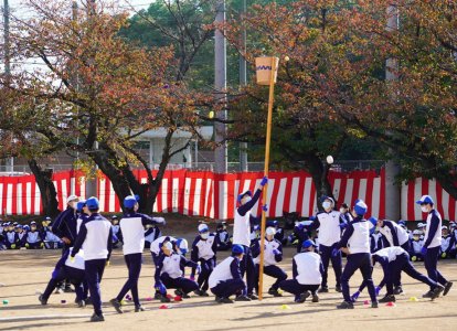 投げ手の移動できる範囲は左右２ｍです。