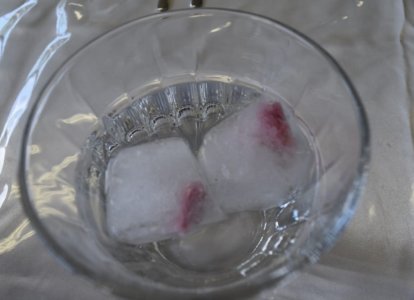 キューブ氷の中はなんと桜の花びらです！