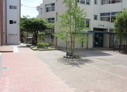 中庭は食堂にもつながる生徒の交流起点になっており、中央には沖校長先生の瑞宝小受賞記念樹が植えられています。